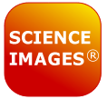 Science_Images_TLS